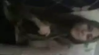 أوجي في بيت دعارة: عاهرات يكشفن أثداءهن وفرجهن على الكاميرا