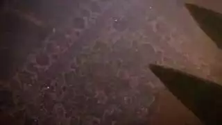 علاقة جنسية جماعية تتحول إلى فوضى مبللة