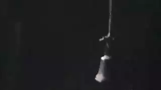 تحميل محتوى xxx بجودة عالية