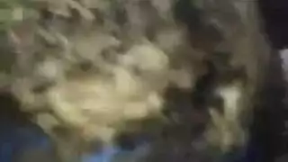 فيلم نيك مصري سري بورن عربي كلاسيكي