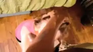 الزوجة الشقراء الساخنة تتفجر شهوة على قضيب أسود كبير خلف ظهر الزوج