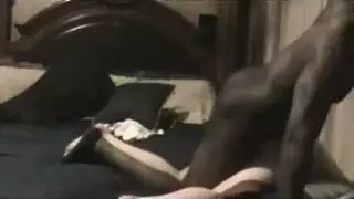 نيك الخيول مع بعضهما