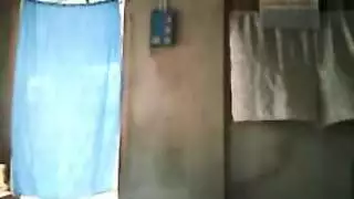 الحمار الكبير موانئ دبي عروس
