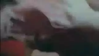 الأوكراني ريترو شارك
