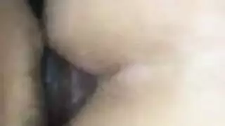 إغراء شيميل: بورن ترانس صريح