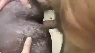 فتيات القرية البدينات يحصلن على قذف داخلي شرجي
