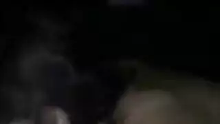 مص وبلع مثاليان في مشهد إباحي صريح