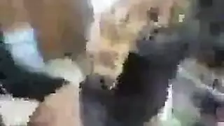 إباحي عربي صريح: طيز عاري يمتلئ بزب كبير