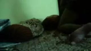 جلسة غرفة نوم جامحة لزوجين هنود