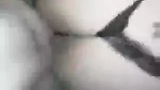 صقیر السنه