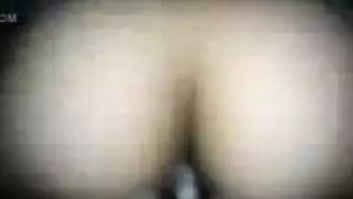 ثياب داخلية الأبواق الحمار الكبير