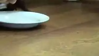 جنس صعب في وسط المدينة