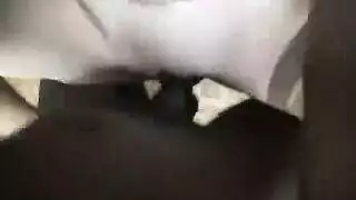 يكس حيونات كلاب خنزير وبشر
