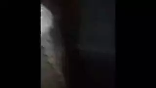 كاسحة الآسيوية الحمار والثدي الصغيرة مطروق