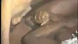 رغبات عارية: لقطة مقربة من كسها الحليق
