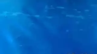 مجموعة أشرطة جنس صريحة لماري تشوي