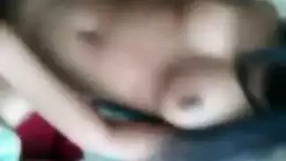 تريب مص