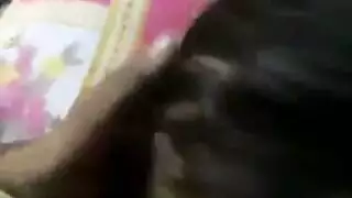 سوري بل حديقه