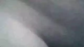 دبتثة
