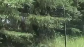 يا حارس الشاطئ مخترق الاستمناء العام