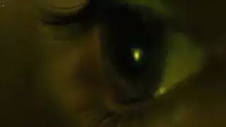 مؤخرة كبيرة تعري شاطئ جنس صعب