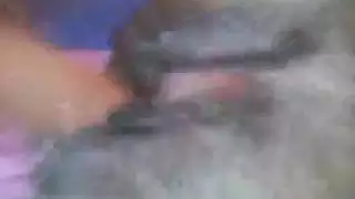 حيوان حصان مرة