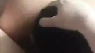 حركة قضيب حيواني: خنزير يغازل فتاة على أربع