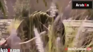 ينيك اخت زوجته الشرموطة سكس خيانة مترجم