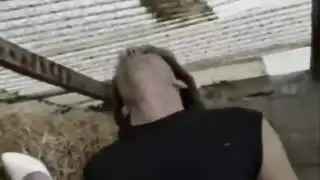 نساء أفريقيات ممتلئات في مشاهد جنس شرجي عنيف
