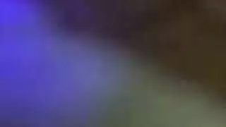 سباحة سيارة نقل الهرة الأكل