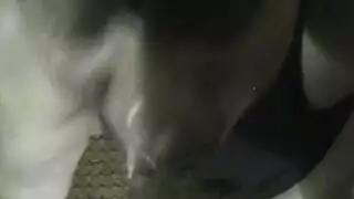 أجمل معرض صور جنسية صريحة