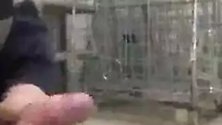 جماع عليمة على فرج مبلل تماماً