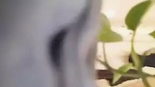 مثليه أمي شقي البرلينية