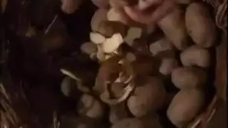 حفلة جنس صريحة لحاملة الخاتم في قاعة العرش