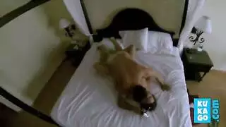 نزولي مع رجلين أسودين ناضجين حاملي عضوات كبيرة