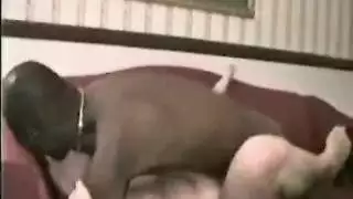 جميلات صينيات في جنس شرجي ومهبلي قاس