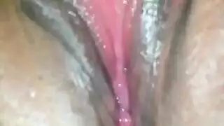 معرض صور لقضيب شيميل عملاق