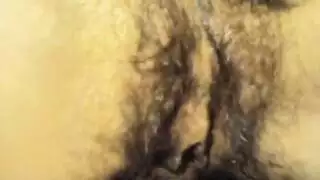 جنس الحيوانات البرية لقاء محرم مع الحيوانات