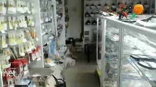 عاهرات الشركات: إباحية مثلية صريحة في العمل