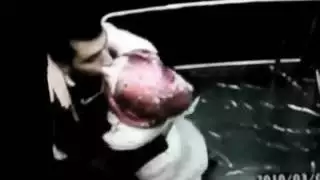 بوس حار في الاسانسير