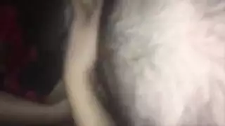 فاجره اوى وجامده بجسم مثالى فاشخه كسها للواد يهبد وهيا شغاله اهات تهبل