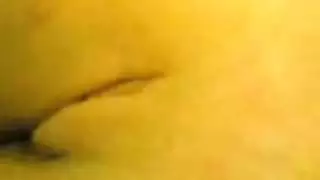 الأصل