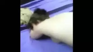 احلى شرموطة سورية سح