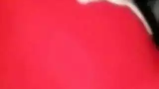 الجميع