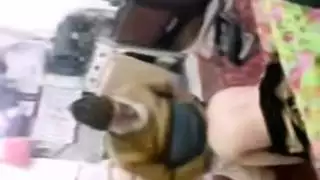 عربي