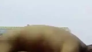 رامى الزبير فشخ كسم البت وشخرم كسها نياكه صح الصح